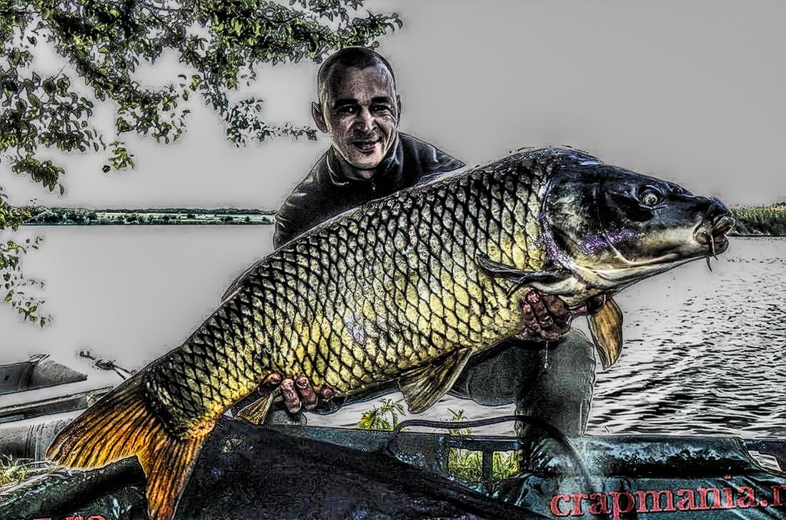 Cupa Seniorilor 2013 - 1010950hdrmode2.JPG